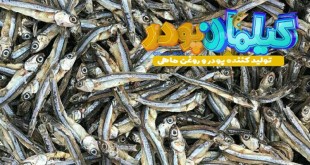 پودر ماهی متو